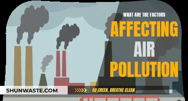 Air Pollution: Understanding the Key Influencing Factors