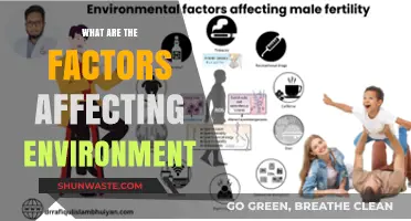 Exploring Key Factors Shaping Our Environment and Its Future