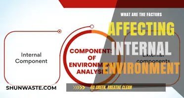 Key Factors Shaping Your Organization's Internal Environment and Success