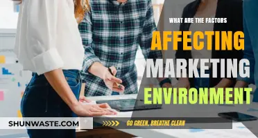 Key Factors Shaping the Dynamic Marketing Environment Explained