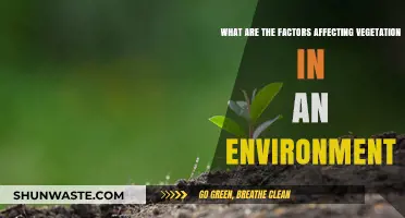 Exploring Key Factors Shaping Vegetation Growth in Ecosystems