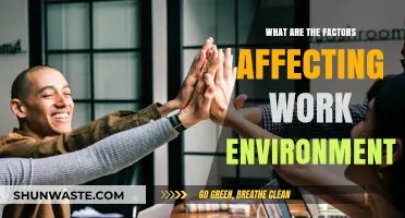 Key Factors Shaping Your Work Environment and Productivity