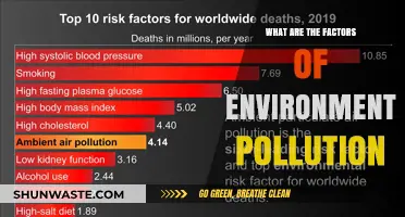 Understanding Environmental Pollution: Key Factors and Causes