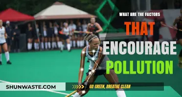 Human Activities: Polluting Our Planet