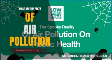 Air Pollution: Facts and Our Future