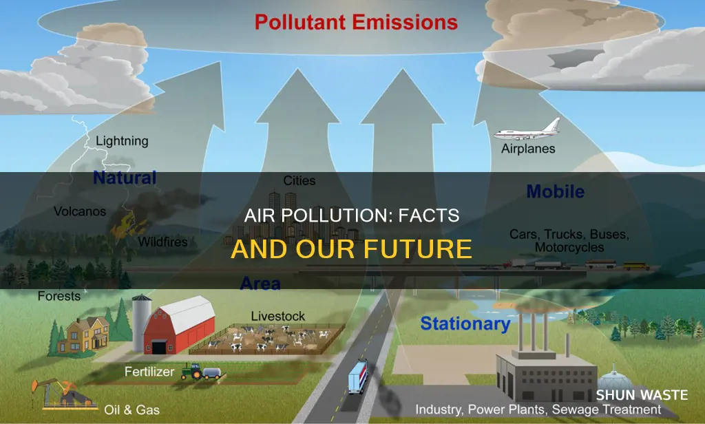 what are the facts of air pollution