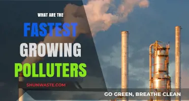 The Dark Side of Rapid Growth: Polluters Exposed