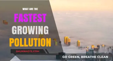 Pollution's Rapid Rise: Understanding the Fastest-Growing Threats