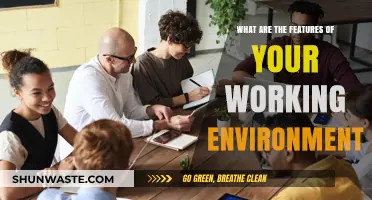 Exploring Key Features of an Ideal Working Environment for Productivity