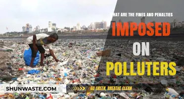 Polluters Beware: Fines and Penalties Imposed