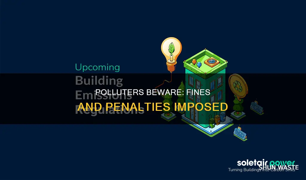 what are the fines and penalties imposed on polluters