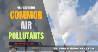 Air Pollutants: Five Common Toxins in Our Air