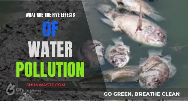 Unveiling the Five Devastating Impacts of Water Pollution