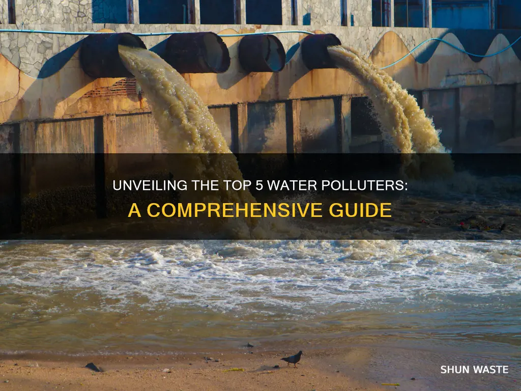 what are the five main causes of water pollution