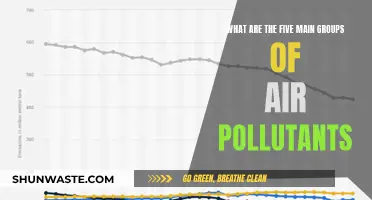 Air Pollutants: Five Main Groups to Know