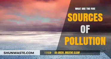 Major Pollution Sources: Five Key Contributors