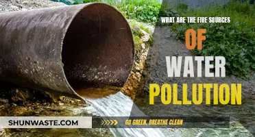 Unveiling the Hidden Culprits: 5 Sources of Water Pollution