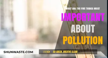 Understanding Pollution: Five Key Factors to Consider