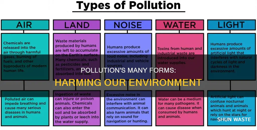 what are the forms of pollution that affect the environment