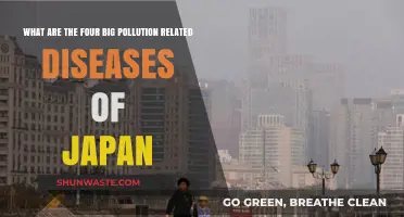 Japan's Pollution: Four Major Diseases