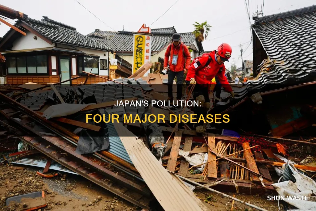 what are the four big pollution related diseases of japan