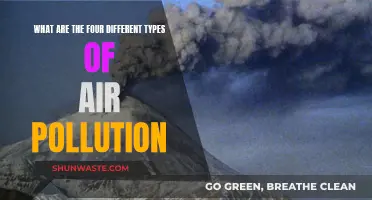 Air Pollution: Understanding the Four Main Types