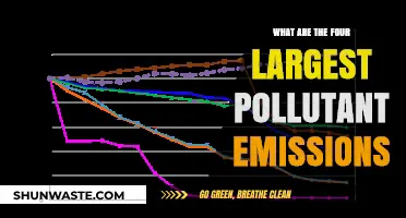 Major Pollutant Emissions: The Big Four