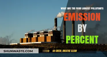 Major Pollutants: The Four Largest Emitters