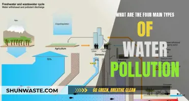 Unveiling Water's Dark Secrets: Four Types of Pollution Explained