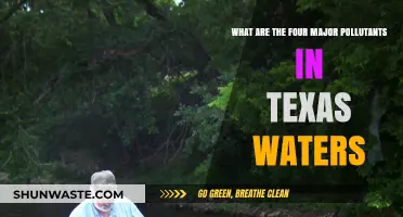Texas Water Pollution: Four Major Offenders