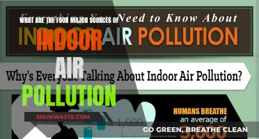 Indoor Air Quality: 4 Major Sources of Pollution