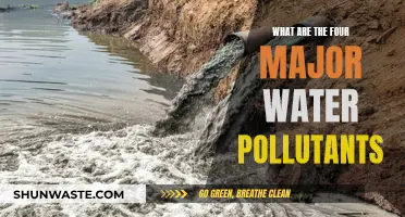 Unveiling the Four Main Water Pollutants: A Comprehensive Guide