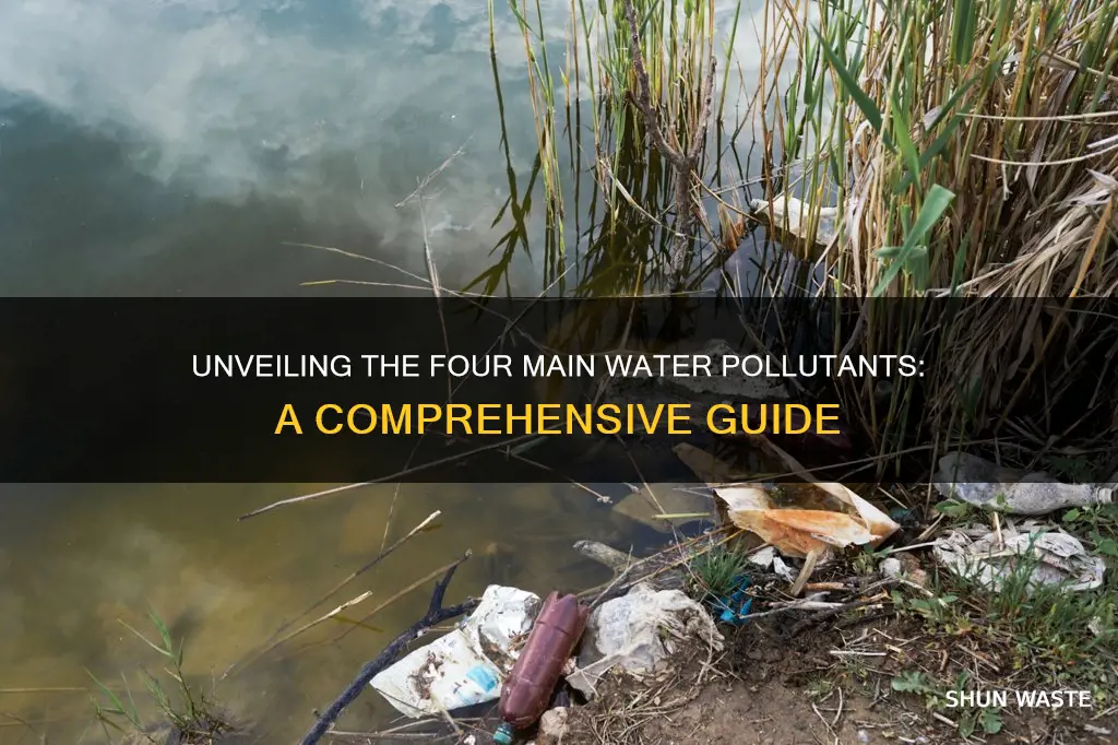 what are the four major water pollutants