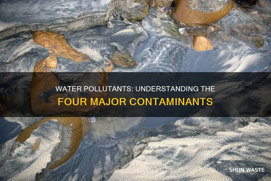 what are the four major water pollutants