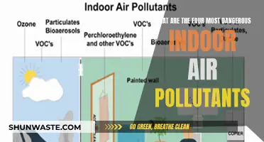 Deadly Indoor Air: Four Pollutants to Fear