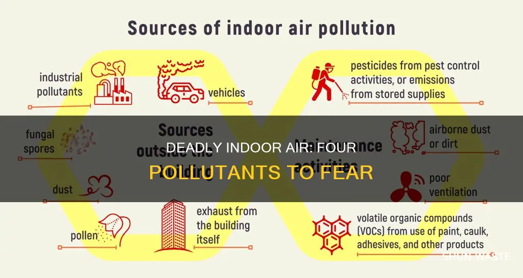 what are the four most dangerous indoor air pollutants
