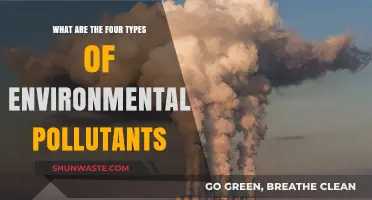 Understanding Environmental Pollutants: 4 Key Types