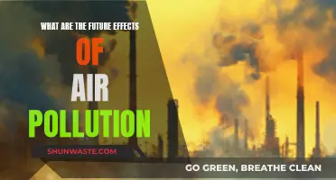 Air Pollution's Future: A Dark Cloud Ahead