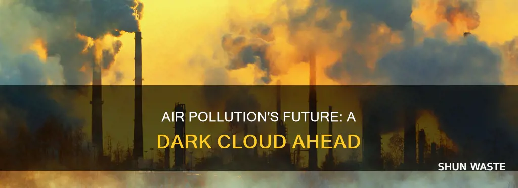 what are the future effects of air pollution