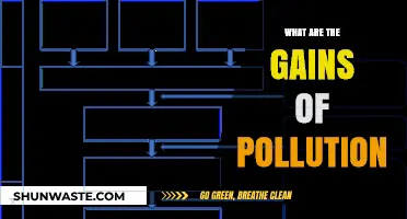 Pollution's Silver Lining: Benefits Amid the Smog