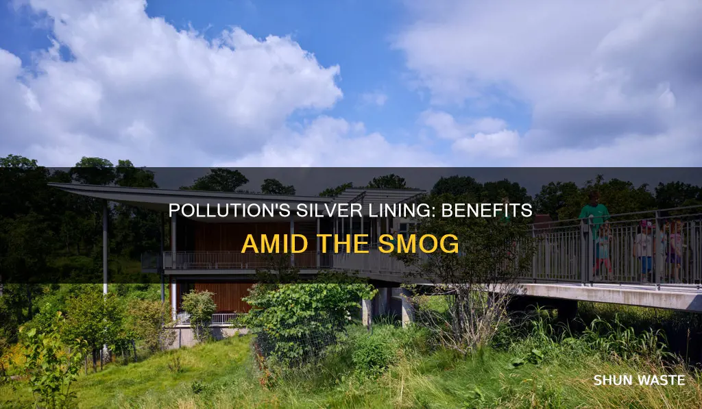 what are the gains of pollution