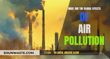 Air Pollution's Global Impact: A Health Crisis