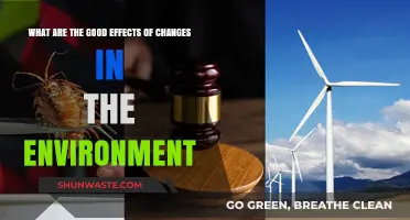 Positive Environmental Changes: Benefits for Ecosystems and Human Well-being
