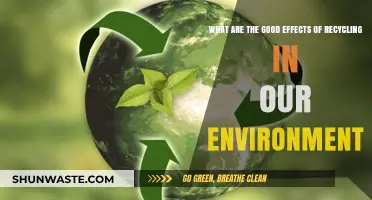 Recycling's Positive Impact: How It Benefits Our Environment and Future
