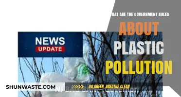 Plastic Pollution: Government Rules and Regulations