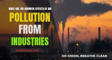 Industrial Air Pollution: Its Harmful Effects and Consequences