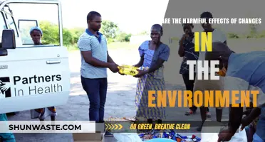Environmental Changes: Devastating Impacts on Ecosystems, Health, and Our Future