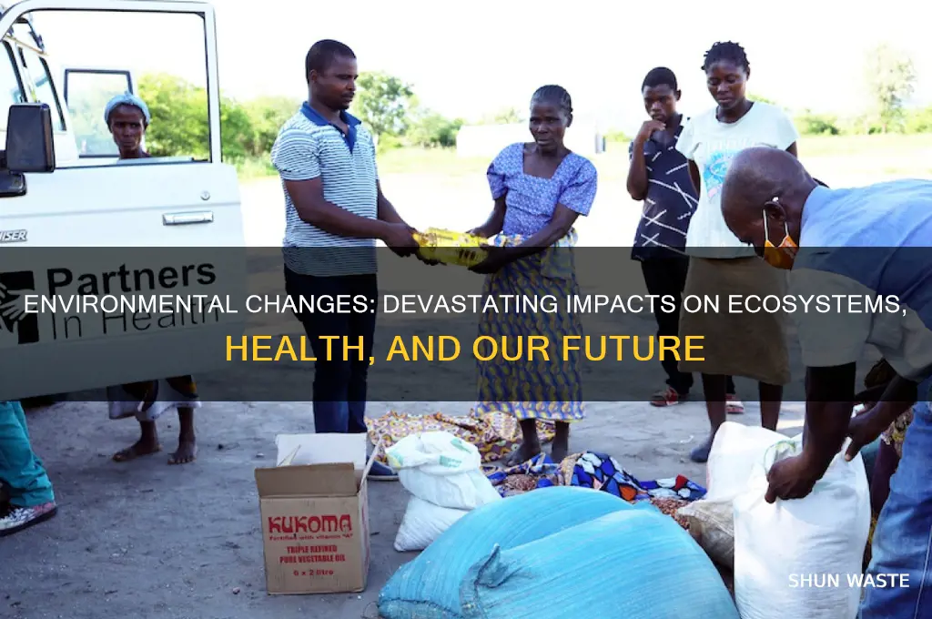 what are the harmful effects of changes in the environment