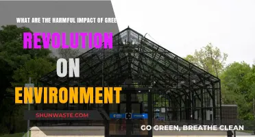 Green Revolution's Dark Side: Environmental Harms and Long-Term Consequences