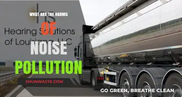 Noise Pollution: Harmful Effects and Our Health
